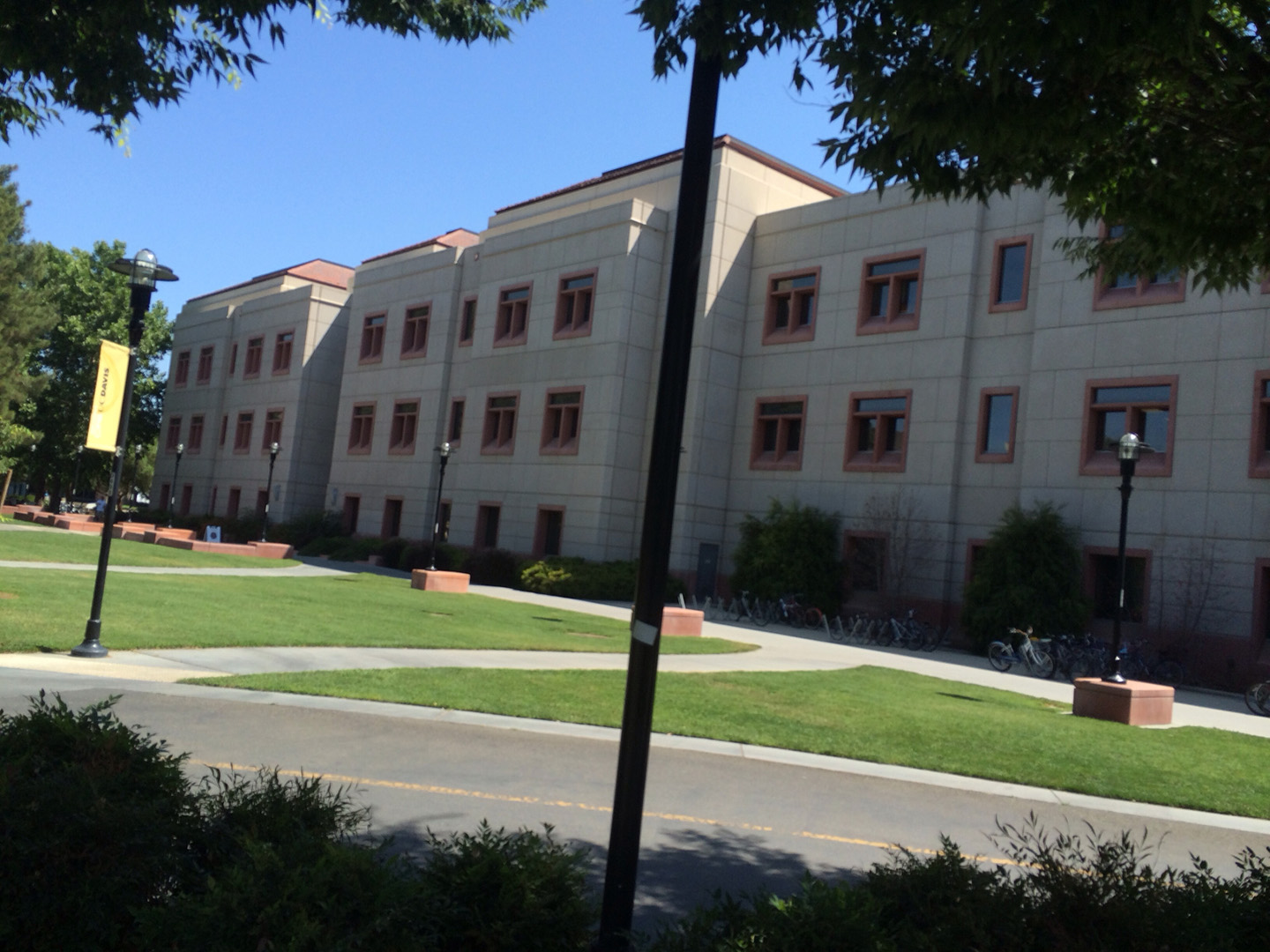 Florida subcontractor construction expert witness